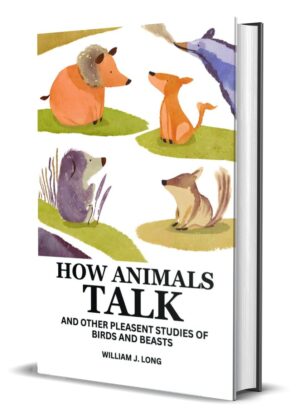 How Animals Talk : And Other Pleasent Studies Of Birds And Beasts by William J. Long (Hardcover)